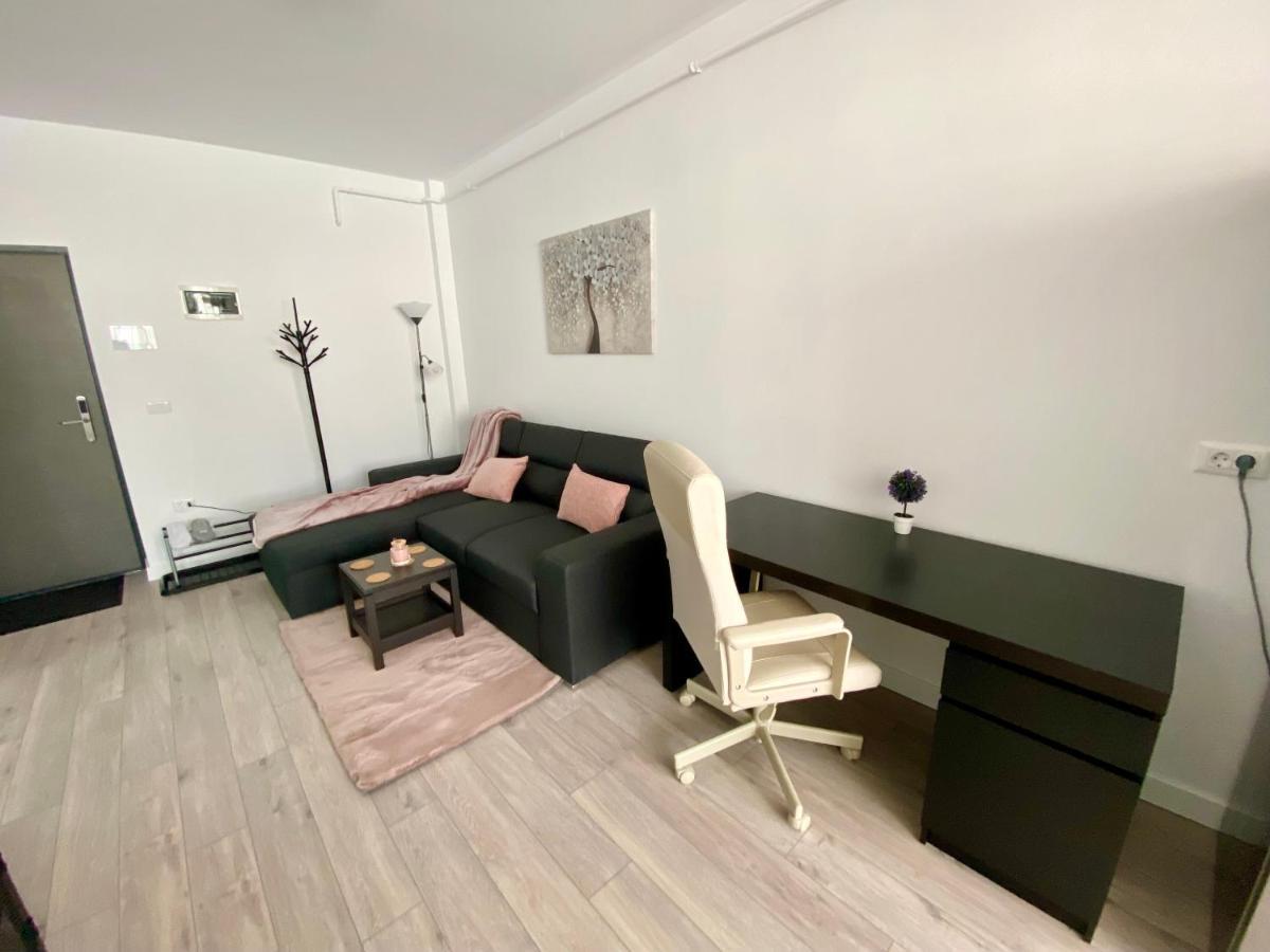 Angela Nordic Apartment. Suceava Exteriör bild